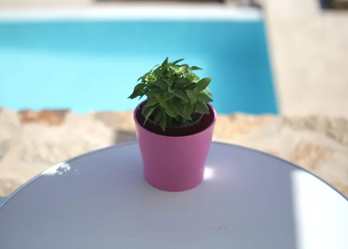 Niriides Homes & Hotel apartamentowy Elia (Mykonos)